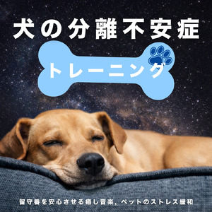ヒーリング-マインドフルネスBGM-