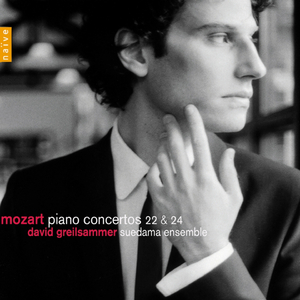 Concerto No. 24 in C Minor, K. 491: II. Larghetto