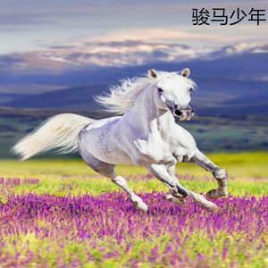 骏马少年