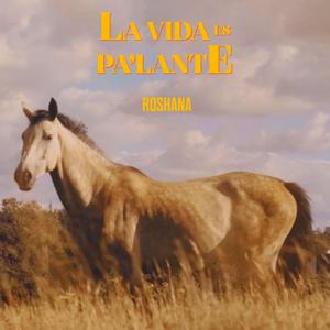 La vida es pa' lante