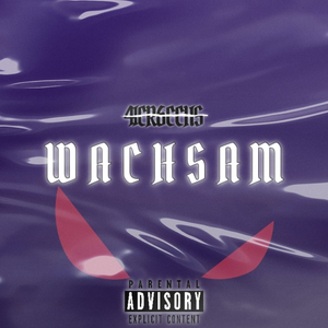Wachsam