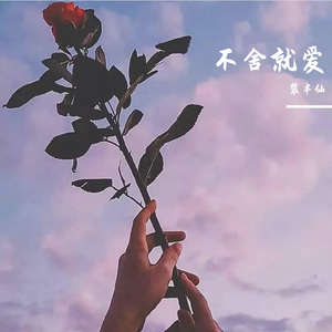 不舍就爱