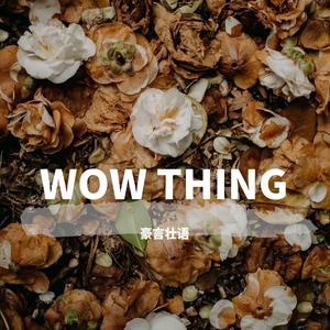 无心的相遇（深情版）