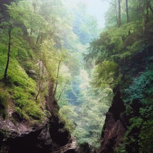 Clearing (Moonlight Mix)