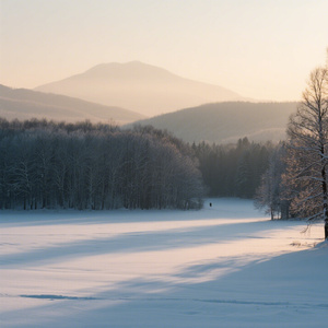 这个冬季没有雪