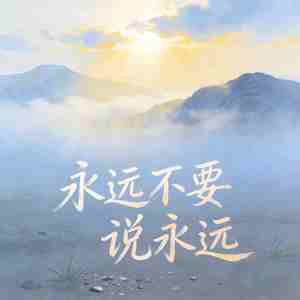 永远不要说永远