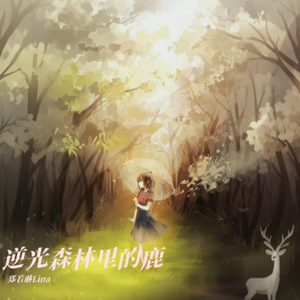 逆光森林里的鹿