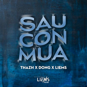 Sau Cơn Mưa