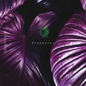 Prankster