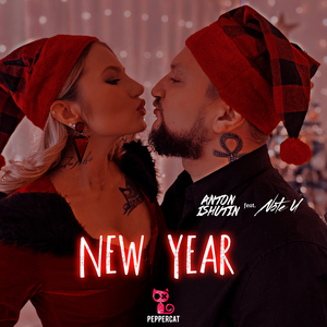 New Year (Original Mix)