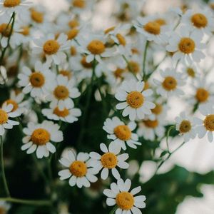 有个简单的问题