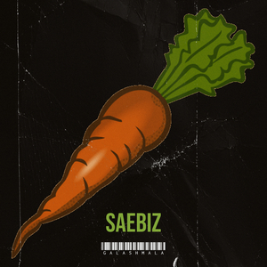 Saebiz