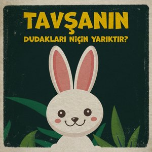 Tavşanın Dudakları Niçin Yarıktır