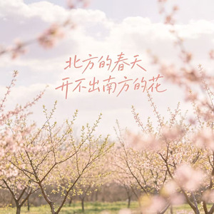 北方的春天开不出南方的花