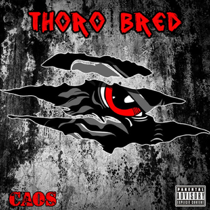 Da Illest (feat. DJ Flipcyide & Nick Genre)