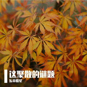 这聚散的迷题