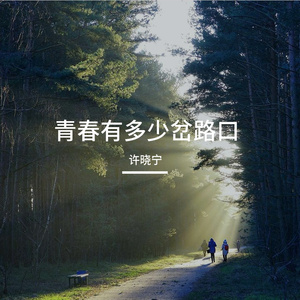 青春有多少岔路口