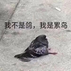 百战成诗