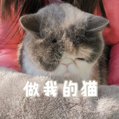 懒狗代
