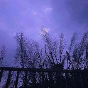 DOAR CU TINE (雷神进行曲)