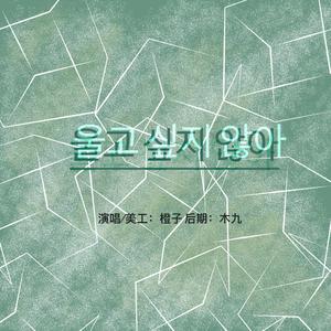 울고 싶지 않아