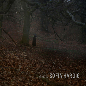 Streets (Video version)