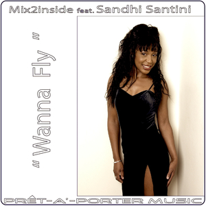 Wanna Fly (Soulight Vox Mix2inside)