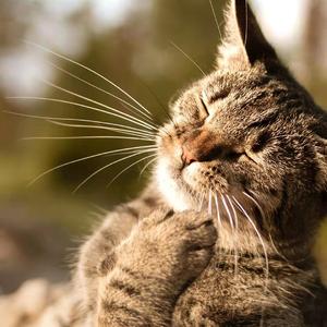 我还有点小糊涂11