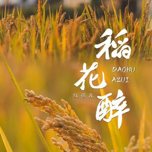 稻花醉 (DJ豪大大版)