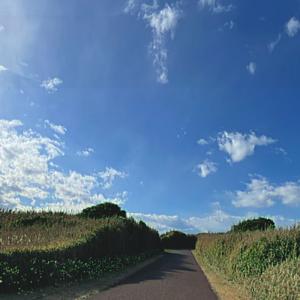 出掛けよう (feat. 可不)