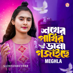 Shokher Pakhir Dana Gojaiche (Slowed+Reverb)