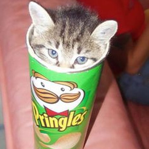 Paul Rosenberg (sped up)