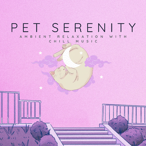 Guided Ambient Pet Journey