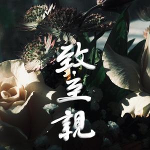 今天是你的生日，妈妈