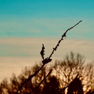 Gör saker som är bra (feat. åk 1)