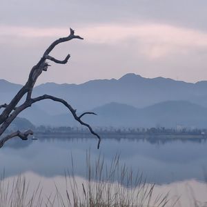 你说（原唱：枯木逢春）