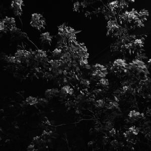 Instrumental(Demo Version).wav