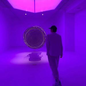 谈恋爱前不如先养猫