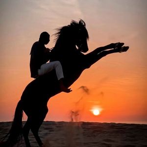 生活不是热爱而是选择-（remix）