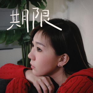 期限