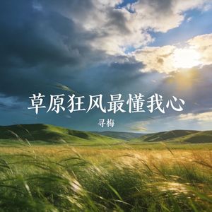 草原狂风最懂我心_伴奏