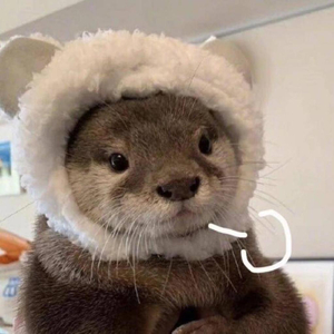 相识那个夜晚