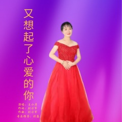 又想起了心爱的你