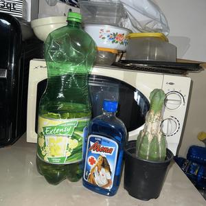 A Kocsma Zaja