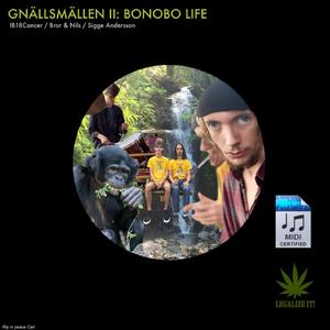 Binterlude (Interlude, Pt. 2)