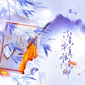 不负华夏唯负卿