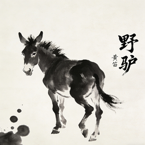 野驴.wav