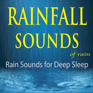 Window Rain Sounds for Insomnia (White Noise Rain)