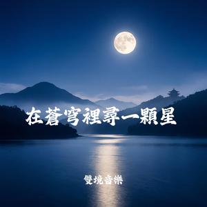 在蒼穹裡尋一顆星