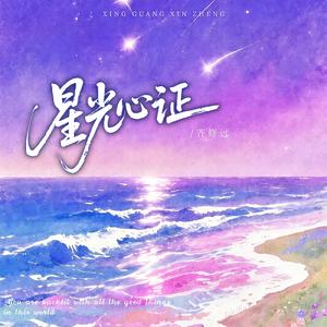 星光心证
